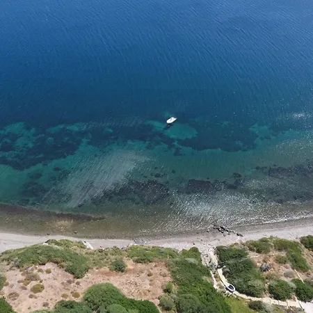 Aelia Collection - Adults Friendly