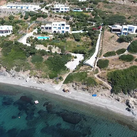 Aelia Collection - Adults Friendly